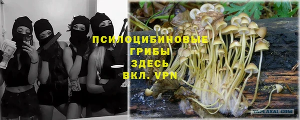 МДПВ Балахна