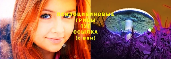 соль ск Нефтекумск