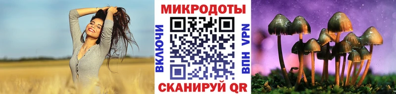 Купить Большой Камень Псилоцибиновые грибы ЛСД